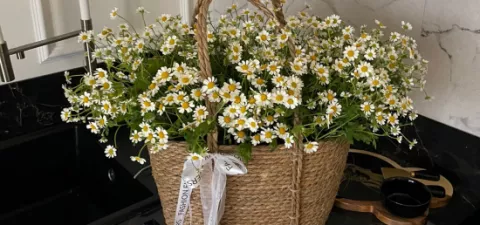 Флористические лайфхаки