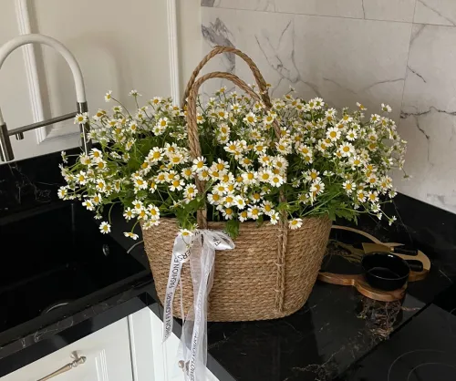 Флористические лайфхаки