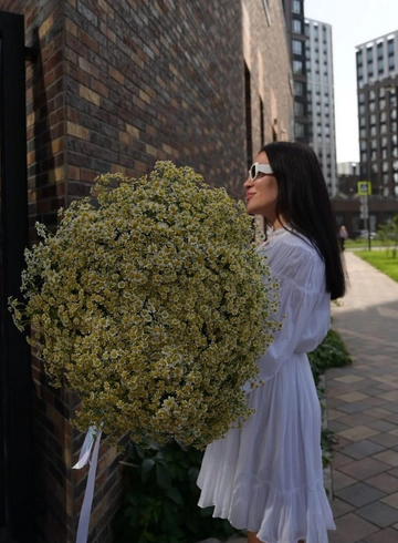 101 Кустовая ромашка от интернет-магазина цветов в 