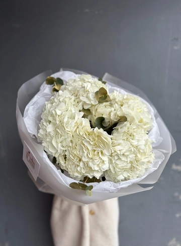 Монобукет из белых гортензий с эвкалиптом от интернет-магазина цветов в 