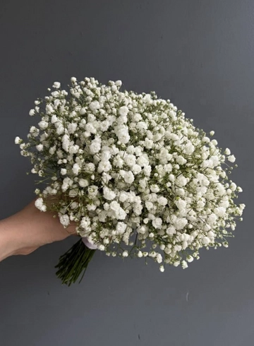 Свадебный букет из гипсофилы от интернет-магазина цветов в 