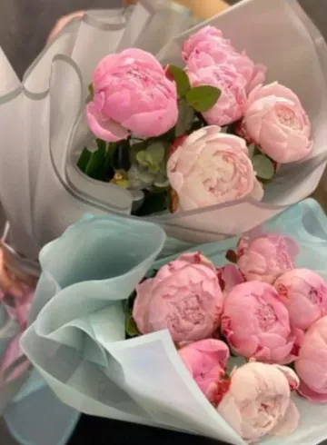 Монобукет из пионов &laquo;Эхо весны&raquo; от интернет-магазина цветов в 