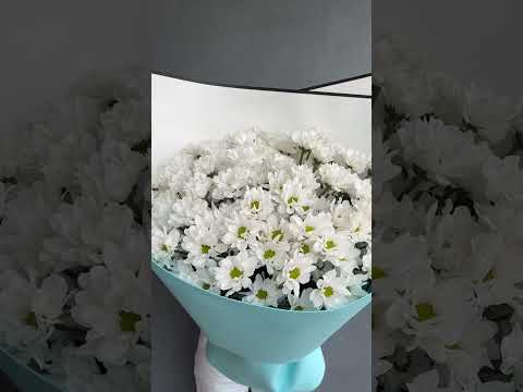 Видео товара