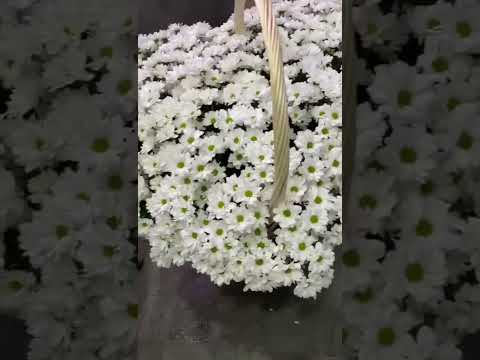 Видео товара