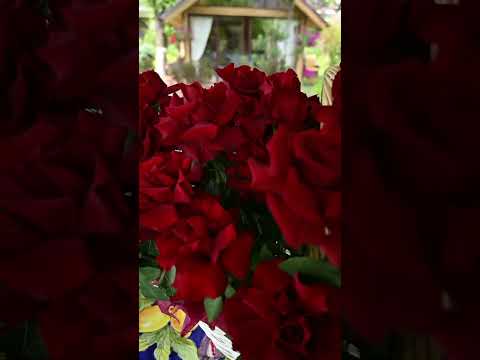 Видео товара